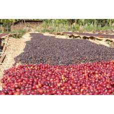 Ethiopia Natural Sidamo