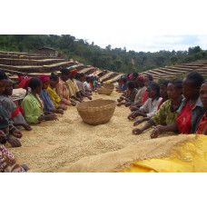 56606 Ethiopia Washed Yirgacheffe