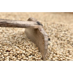 Honduras San Vicente