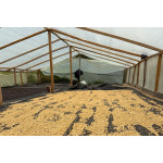 61019 Colombia Huila Santa Maria