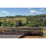 58476 Ethiopia Yirgacheffe