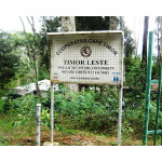 Timor