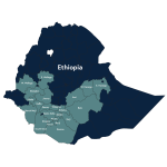 Ethiopia Washed Guji