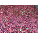 61347 Ethiopia Washed Yirgacheffe