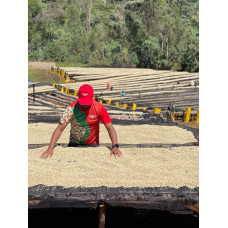 61347 Ethiopia Washed Yirgacheffe