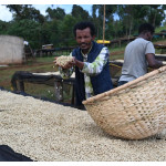 59890 Ethiopia Yirgacheffe